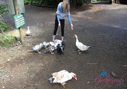 ATKGirlfriends – Lily Rader – Virtual Vacation Episode 483 – Hawaii part 4/7